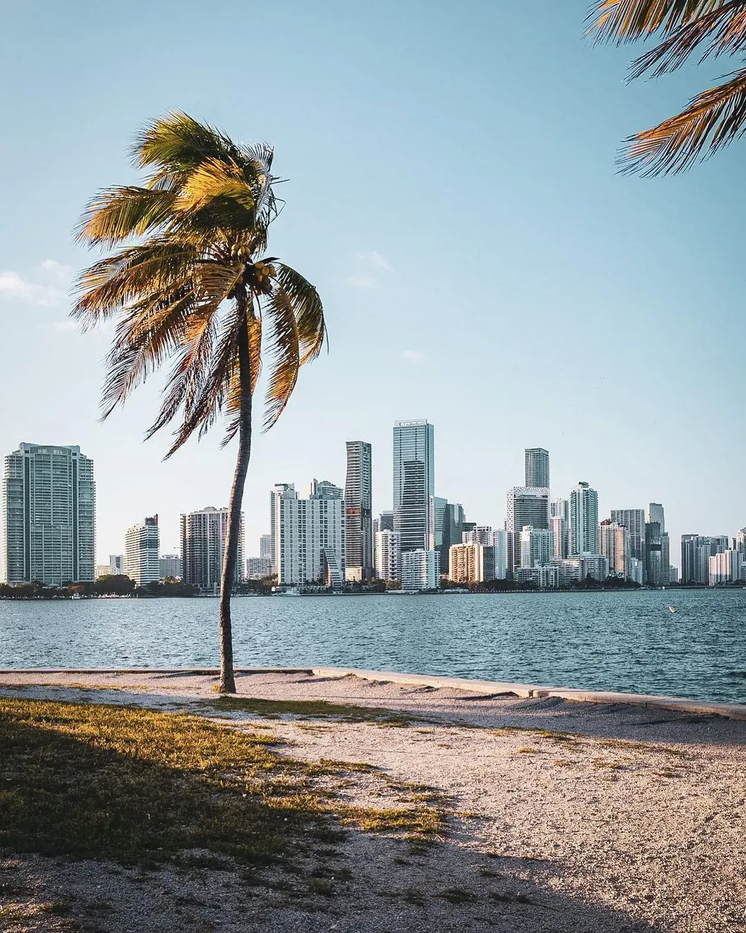 Cheapest Time To Visit Miami
