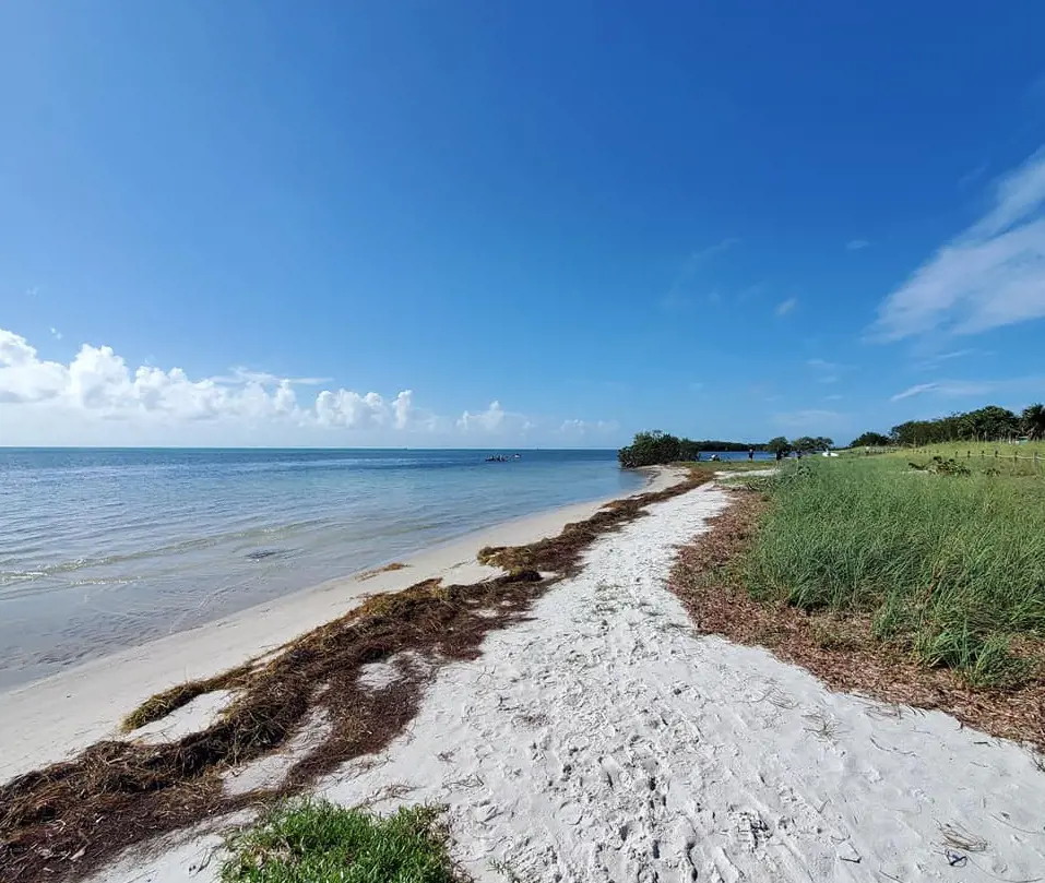Curry Hammock State Park beach area with white sands looks stunning