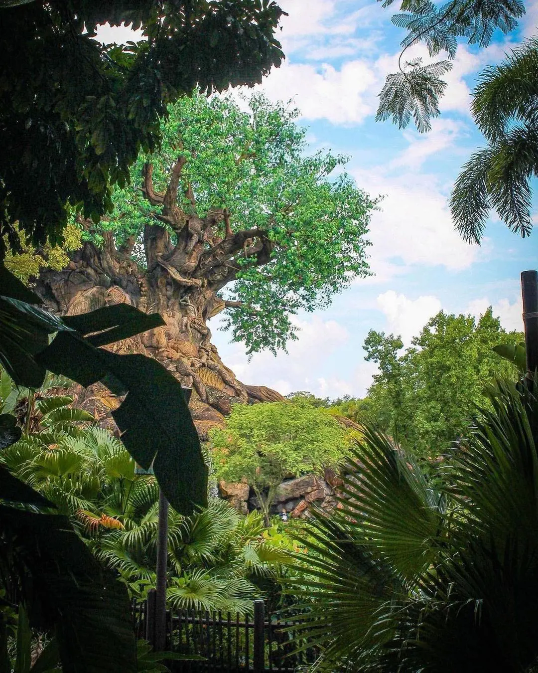 Disney's Animal Kingdom Theme Park celebrated 25 years of the magic nature in 2023