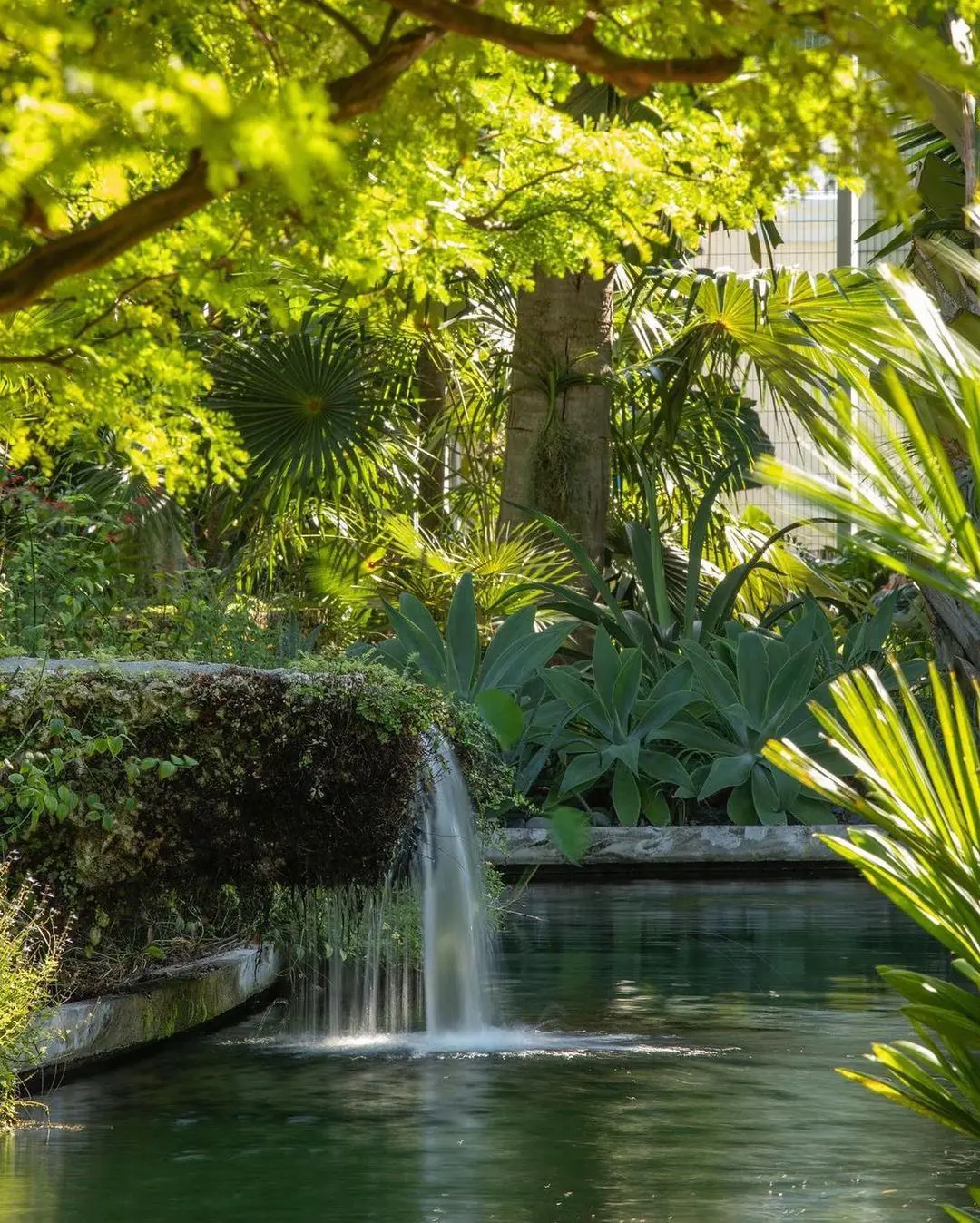  Miami Beach Botanical Garden is a place to feel the nature